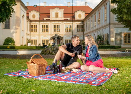 Piknikové koše