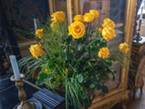Galerie