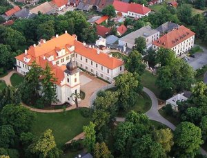 Ženich byl čiperný. Strom zasadil už minutu po svatbě