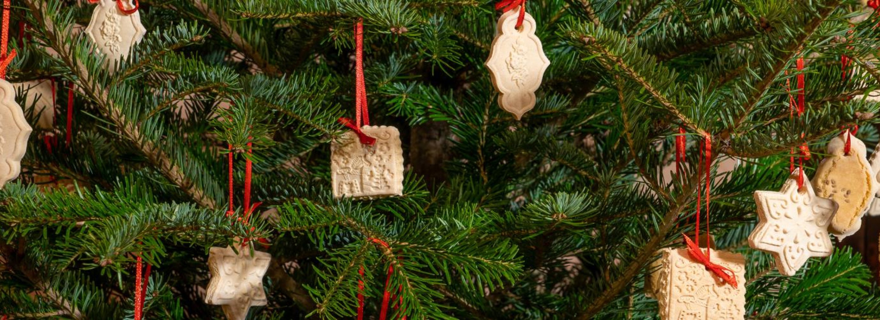 Příběh vánočního stromečku - prodlouženo