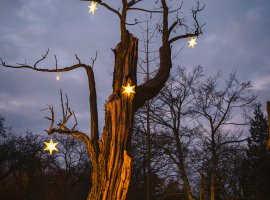 Světla lásky - romanticky nasvícený zámecký park
