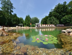 Tip na zdárné přežití veder: Ubytujte se u nás a užívejte pohodu v biotopu