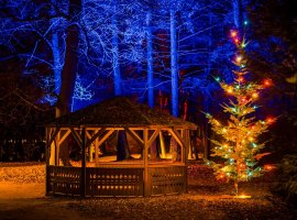 Večery plné světla: Hledejte cestu bludištěm k rozsvícené Eiffelovce