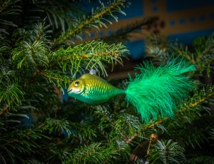 Tady je pár tipů,  jak si vánoční prohlídky užít v naprosté pohodě