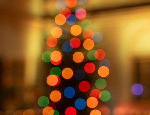 Vánoční strom na nádvoří má poslání pomáhat jako před 100 lety