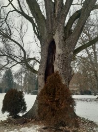 Loučeň teď pod sněhem připomíná zámek prince z filmové Popelky