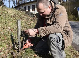 Přípravy na jaro: Stromy dostávají sestřih, skla lesk, oranžérie kabát
