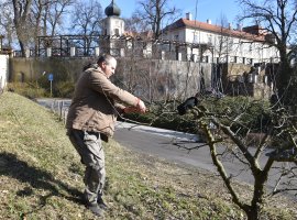 Přípravy na jaro: Stromy dostávají sestřih, skla lesk, oranžérie kabát