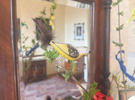 Zámek Loučeň: Když se načančám velikonočně, vypadá to asi takhle....