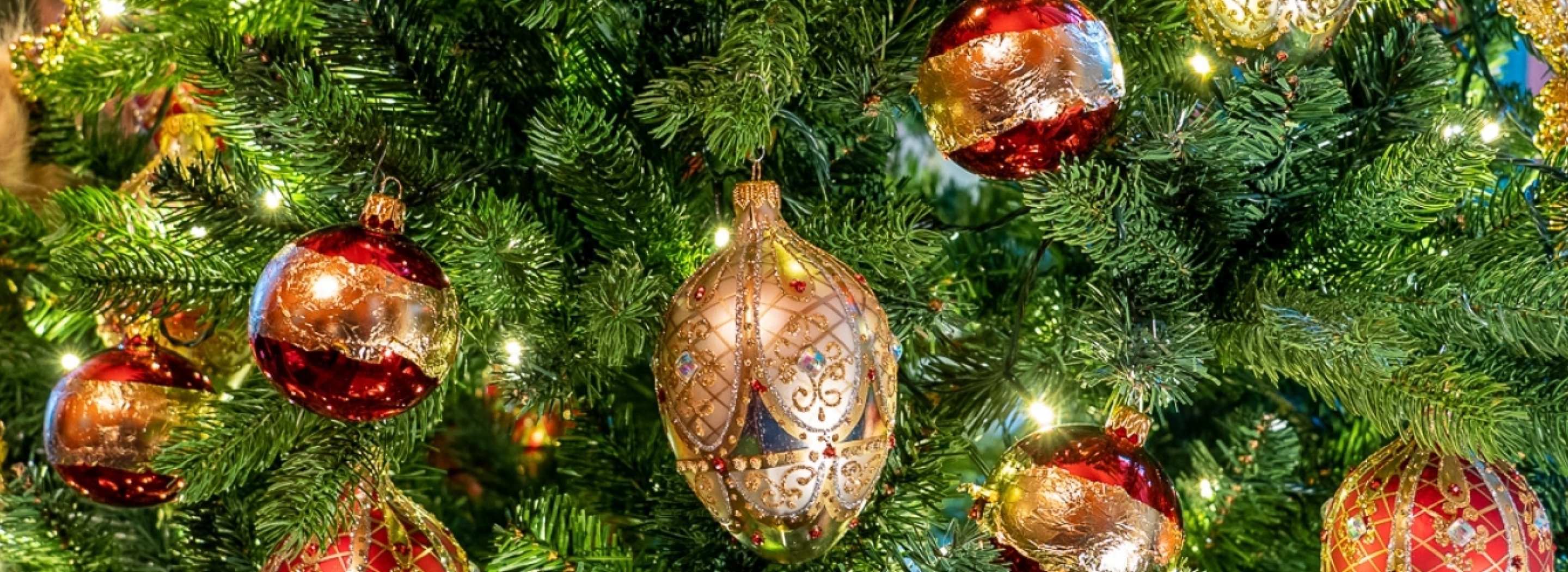 Příběh Vánočního stromečku 2019