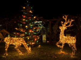 Labyrinty světla a ráj srdce