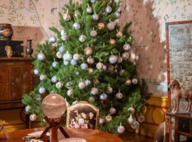 Příběh vánočního stromečku