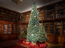 Příběh vánočního stromečku na Zámku Loučeň: Největší vánoční příběhy