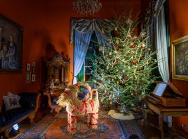 Příběh vánočního stromečku na Zámku Loučeň: Největší vánoční příběhy