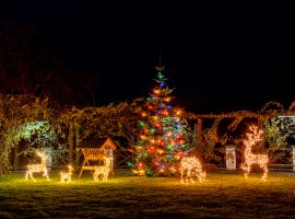 Příběh vánočního stromečku na Zámku Loučeň: Největší vánoční příběhy