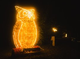 SVĚTLA VYPRÁVĚJÍ v zámeckém parku
