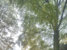 Zámek Loučeň na podzim