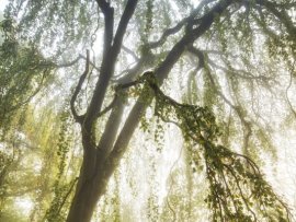 Zámek Loučeň na podzim