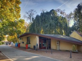 Zámek Loučeň na podzim