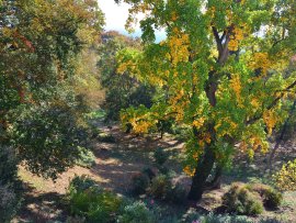 Zámek Loučeň na podzim