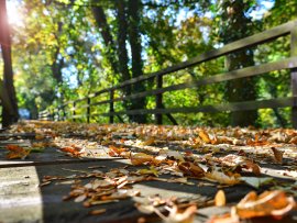 Zámek Loučeň na podzim